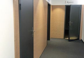 Двери NAYADA-Vitero для офиса международной компании