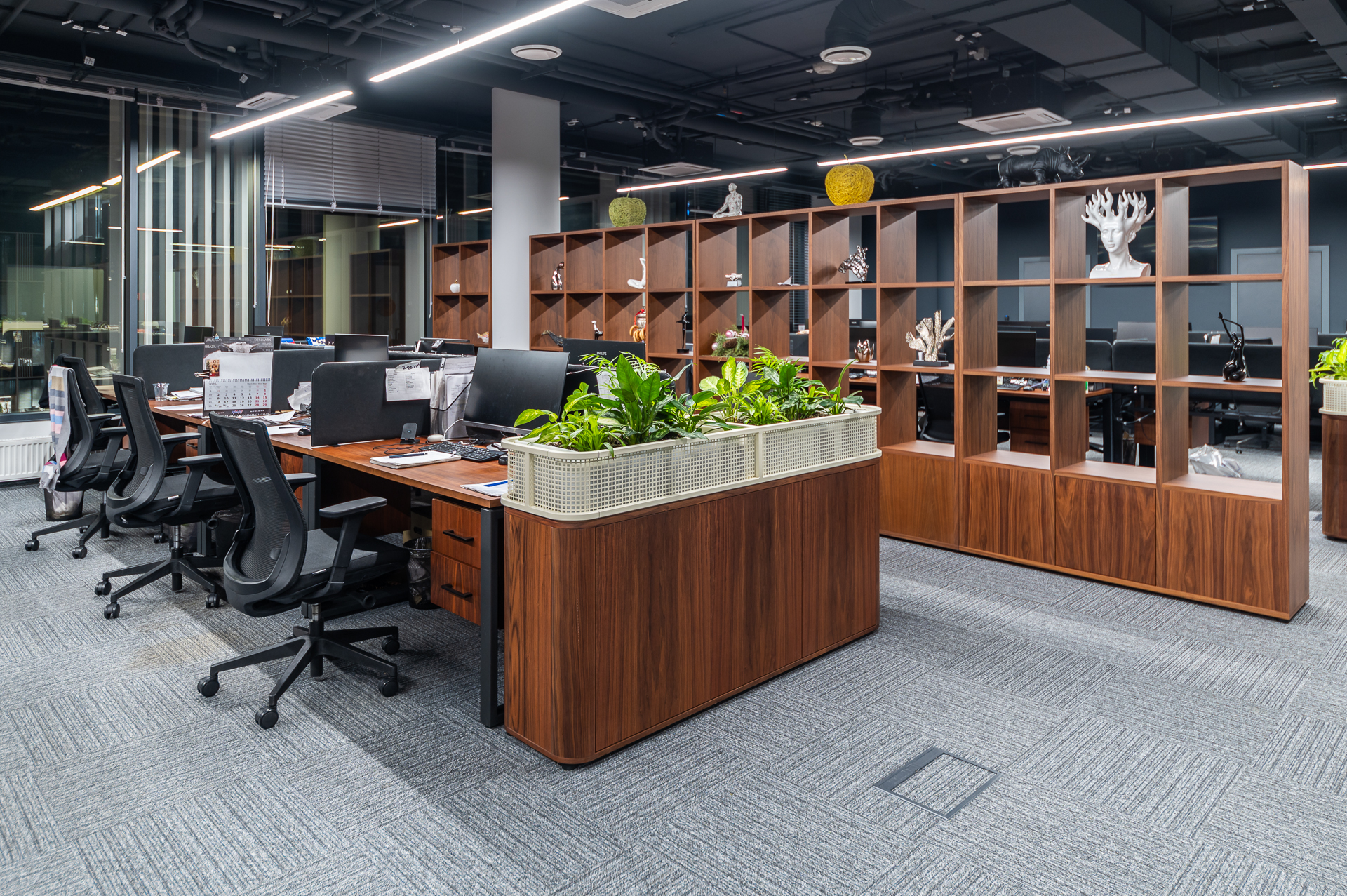 Фото проекта: Ультра Фиш. Изображение № 3